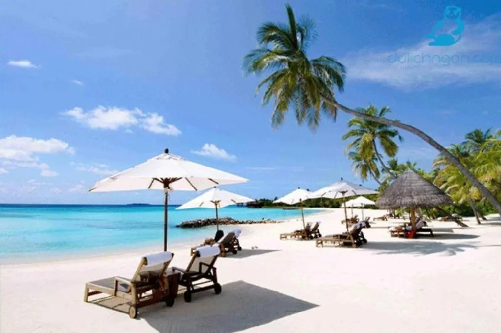 Nhatrang Cozy Hotel Нячанг